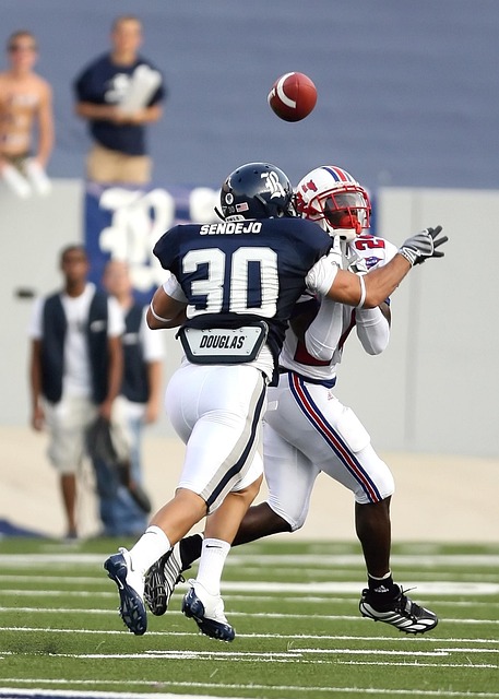 最大的看点 最大的看点