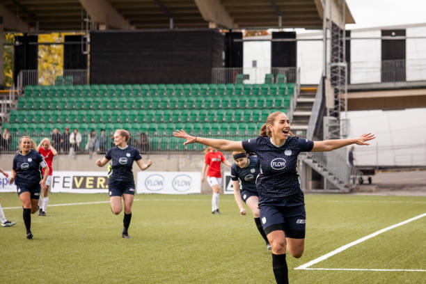 明尼苏达森 明尼苏达森